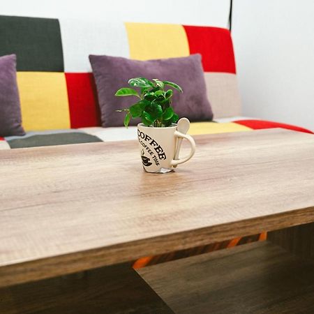 Cozy Apartment Брашов Екстер'єр фото