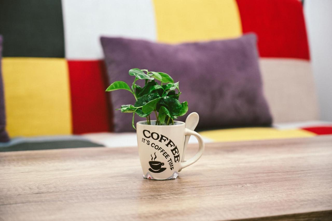 Cozy Apartment Брашов Екстер'єр фото